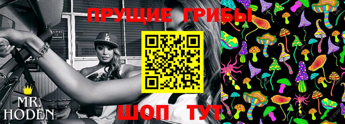Псилоцибиновые грибы MAGIC MUSHROOMS  Вход с VPN  Краснодар 