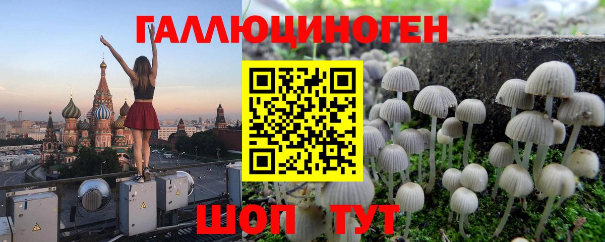 Псилоцибиновые грибы ЛСД Краснодар